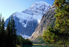 90极速和90极速比分网是什么关系？有何区别？